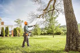 Best Seasonal Cleanup (Spring/Fall)  in Squirrel Mountain Valley, CA